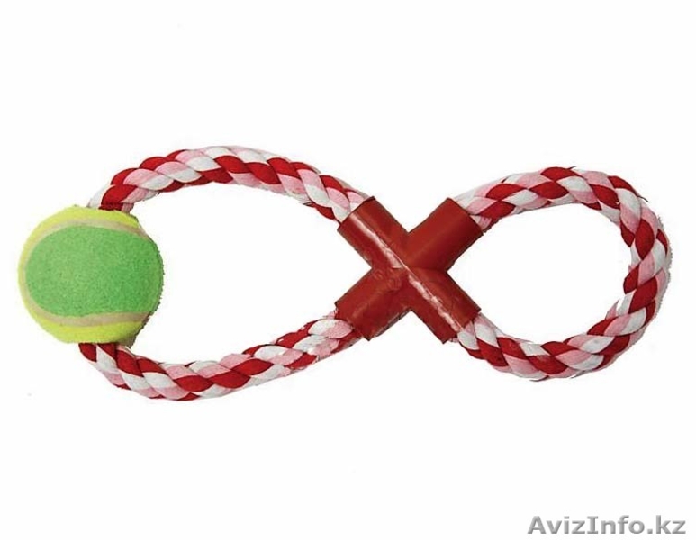 Зоотовары для животных - Изображение #2, Объявление #758883