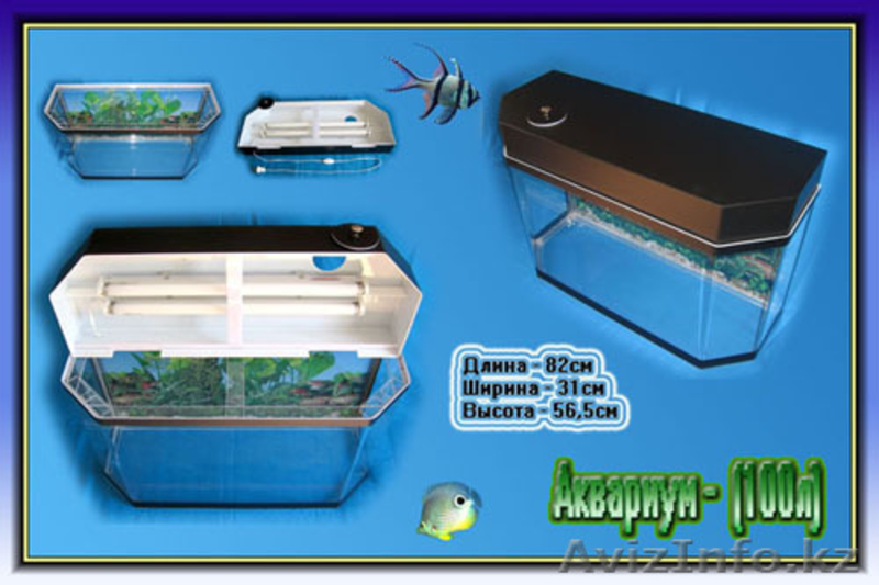 Аквариумы из оргстекла, в наличии и на заказ.  - Изображение #7, Объявление #756523