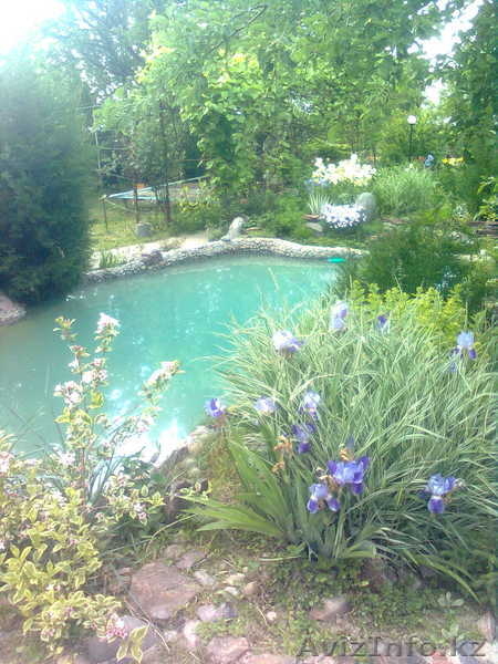 Продам загородный дом в Алматинской области - Изображение #1, Объявление #755649