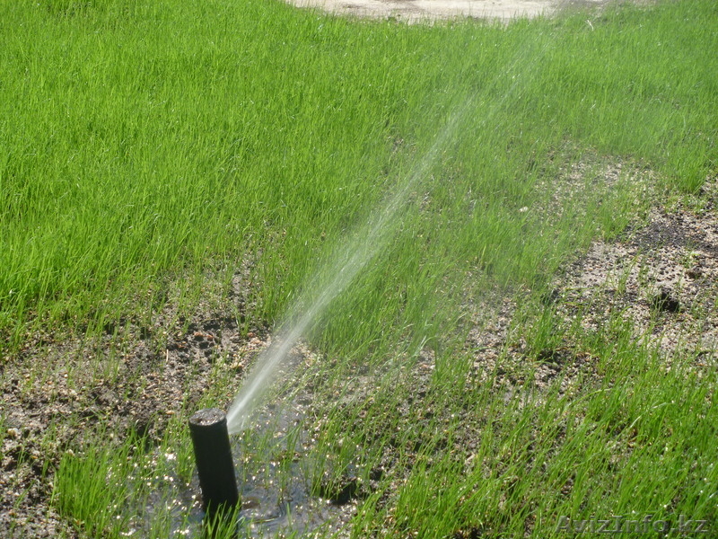 Автоматические поливные системы - Изображение #4, Объявление #747898