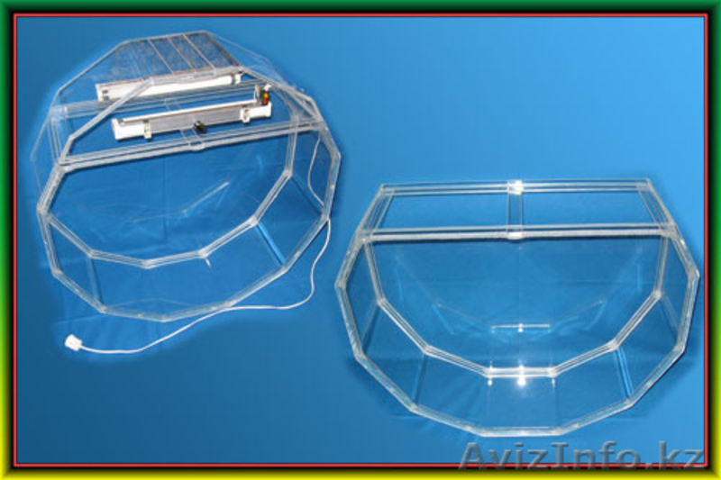 Аквариумы из оргстекла, в наличии и на заказ.  - Изображение #3, Объявление #756523