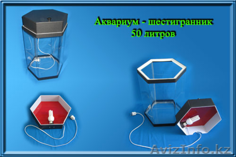 Аквариумы из оргстекла, в наличии и на заказ.  - Изображение #8, Объявление #756523