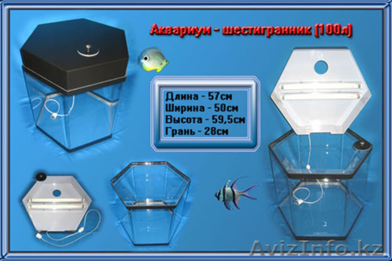 Аквариумы из оргстекла, в наличии и на заказ.  - Изображение #6, Объявление #756523