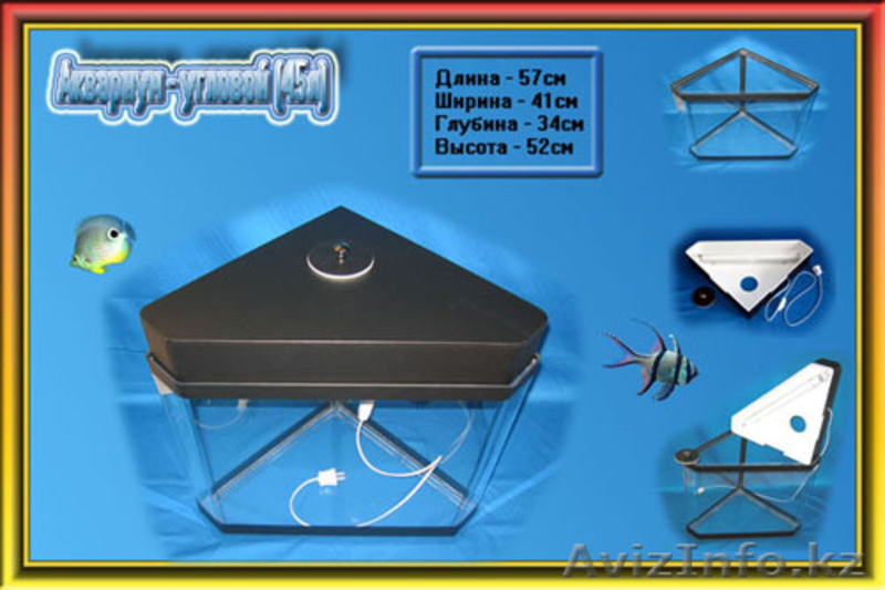 Аквариумы из оргстекла, в наличии и на заказ.  - Изображение #4, Объявление #756523