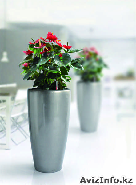 Вазоны (кашпо, горшки) с автоматической системой полива - Изображение #5, Объявление #754788