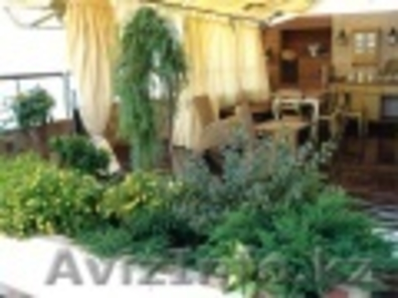 квартира должна ожить - Изображение #1, Объявление #767467