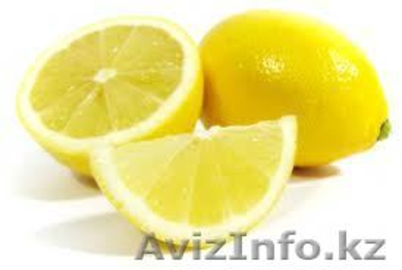 CITRUS 2012 EGYPT - Изображение #4, Объявление #775147