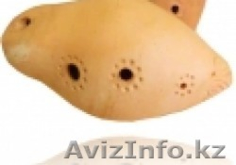 Галамарт- национальные инструменты - Изображение #7, Объявление #776088