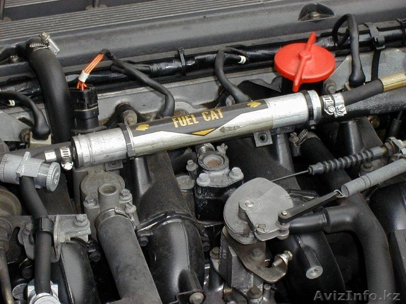 Оптимизатор топлива Fuelcat Original, универсальная присадка к топливу - Изображение #3, Объявление #766687