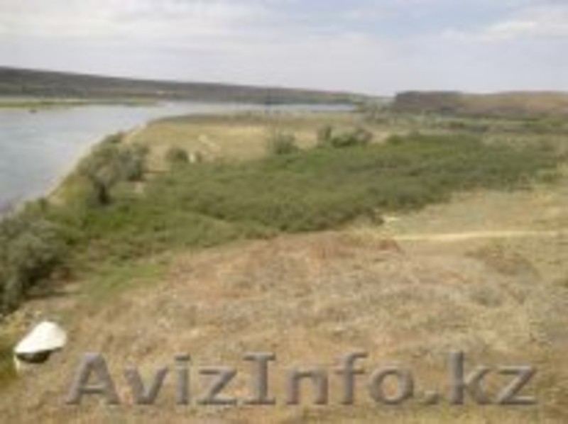 Заповедная земля вдоль реки Или - Изображение #1, Объявление #785557