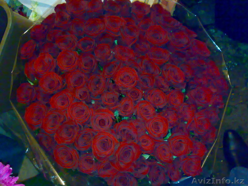 РОЗЫ НЕДОРОГО АЛМАТЫ+Доставка - Изображение #2, Объявление #795362