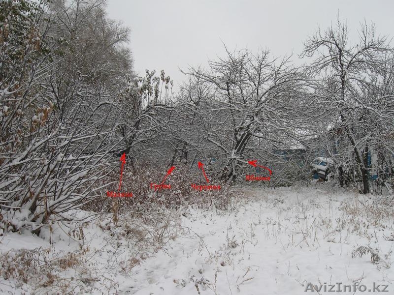 Продам участок с домом НЕДОРОГО! - Изображение #8, Объявление #771543