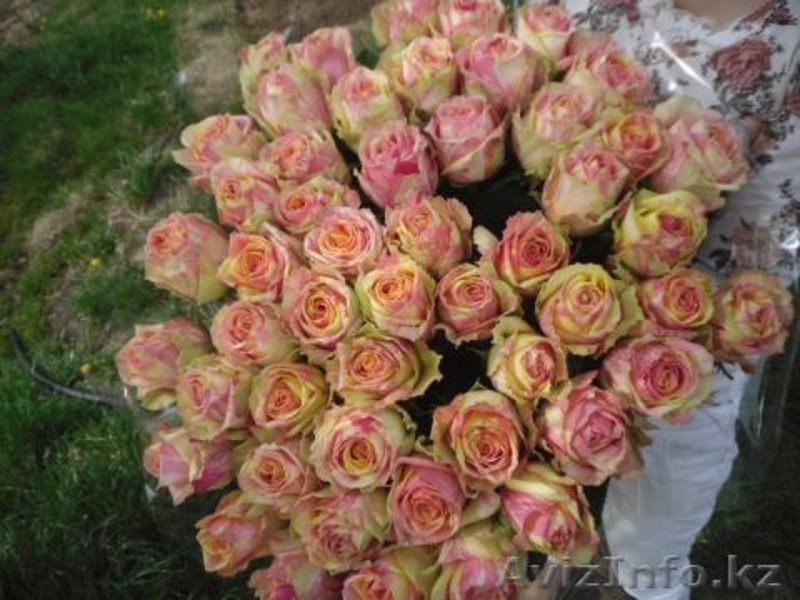 Доставка Цветов Алматы - Изображение #1, Объявление #795354