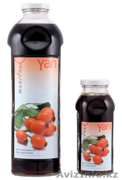 Поиск дилеров, представителей и  оптовых клиентов во  всех регионах   Казахстана - Изображение #1, Объявление #786880