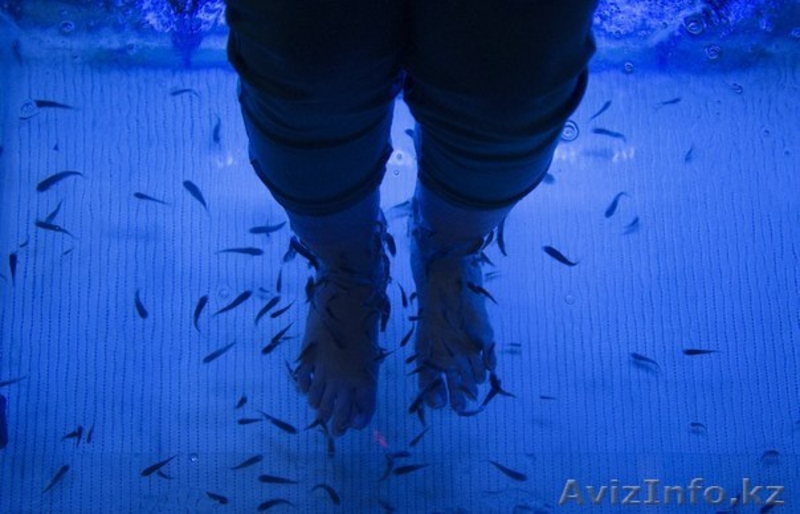 Истинным ценителям SPA – процедур! - Изображение #1, Объявление #703356