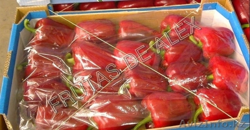 Томаты,огурцы,перец,баклажаны из Испании - Изображение #3, Объявление #817084