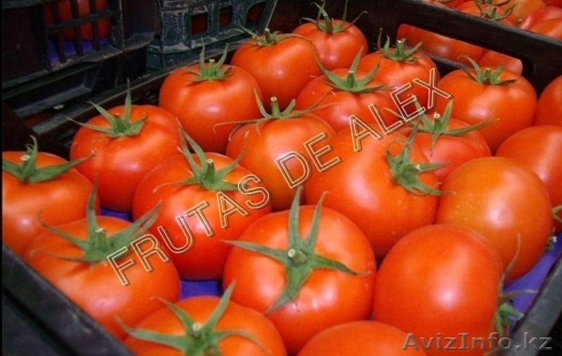 Томаты,огурцы,перец,баклажаны из Испании - Изображение #5, Объявление #817084