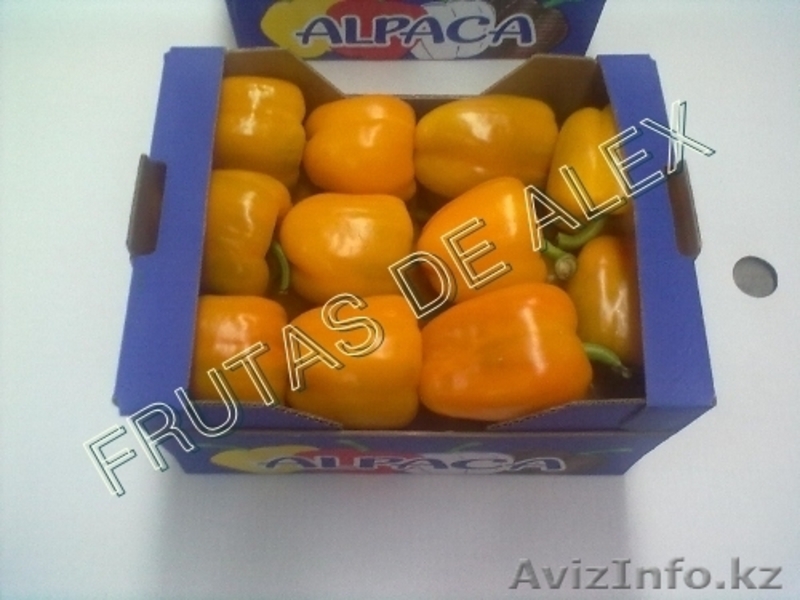 Томаты,огурцы,перец,баклажаны из Испании - Изображение #7, Объявление #817084