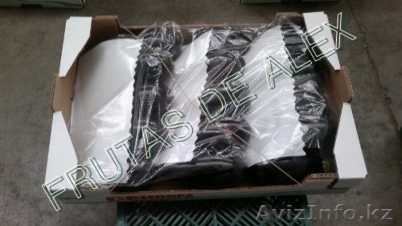 Томаты,огурцы,перец,баклажаны из Испании - Изображение #8, Объявление #817084