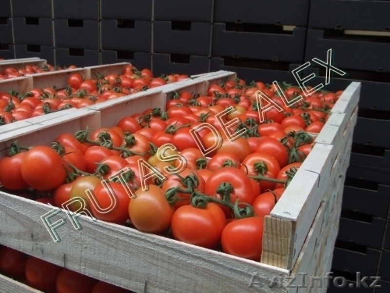 Томаты,огурцы,перец,баклажаны из Испании - Изображение #9, Объявление #817084