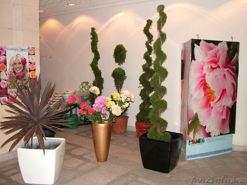 Вторая международная выставка «О’зеленение | Greenery’ 2013» - Изображение #3, Объявление #827452