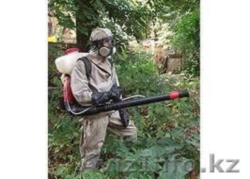 Дезинфекционная станция "ДезГарант" - Изображение #2, Объявление #831370