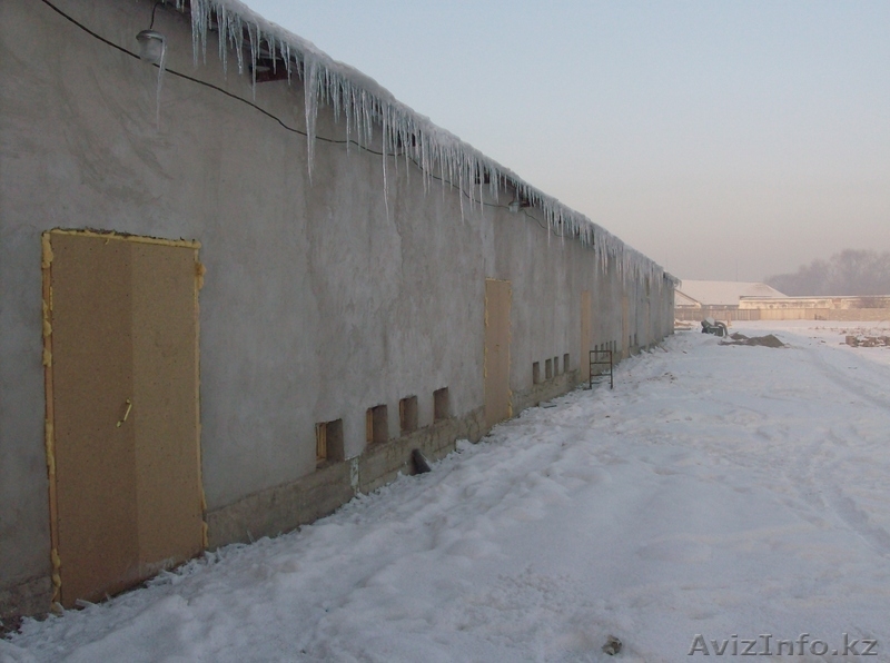 продам к/х близ Алматы - Изображение #4, Объявление #821935