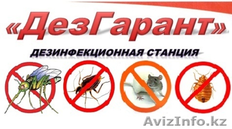 Дезинфекционная станция "ДезГарант" - Изображение #1, Объявление #831370