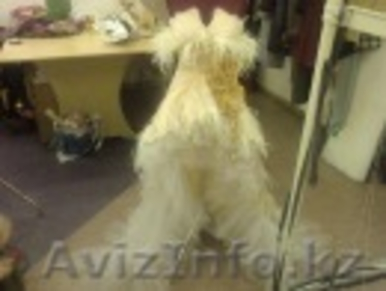 Ателье предлагает обучение.  - Изображение #1, Объявление #820982