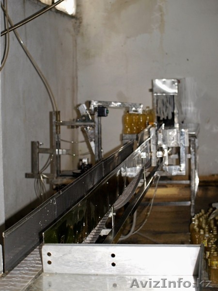Линия горячего розлива в ПЭТ бутылки до 1.5 литра - Изображение #3, Объявление #844016