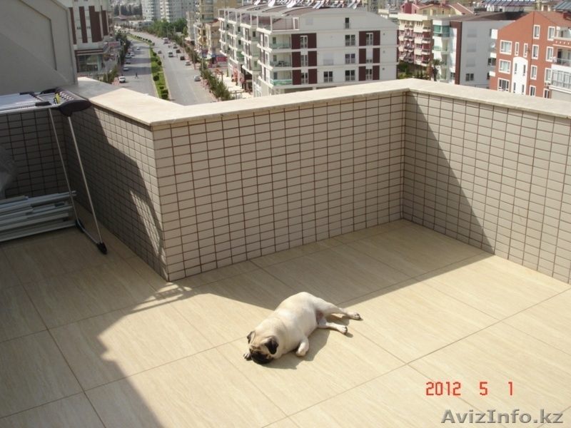 Квартира в комплексе класса люкс. Дуплекс.С планировкой 3+1. С живописным видом  - Изображение #2, Объявление #836995