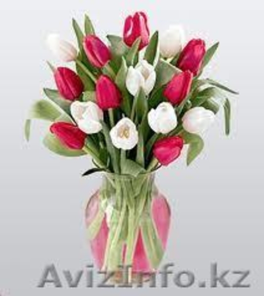 87017679697 Газиза  - Изображение #3, Объявление #849647