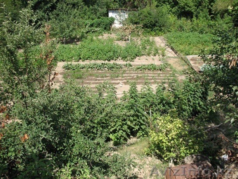 Продам дачу на 19 километре, участок 8,5 соток, 40000$ - Изображение #5, Объявление #847937