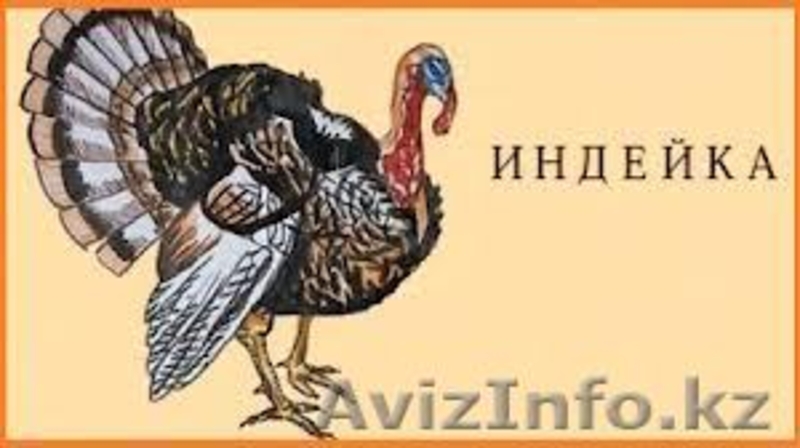 Низкокалорийное,диетическое мясо индейки. - Изображение #2, Объявление #841824