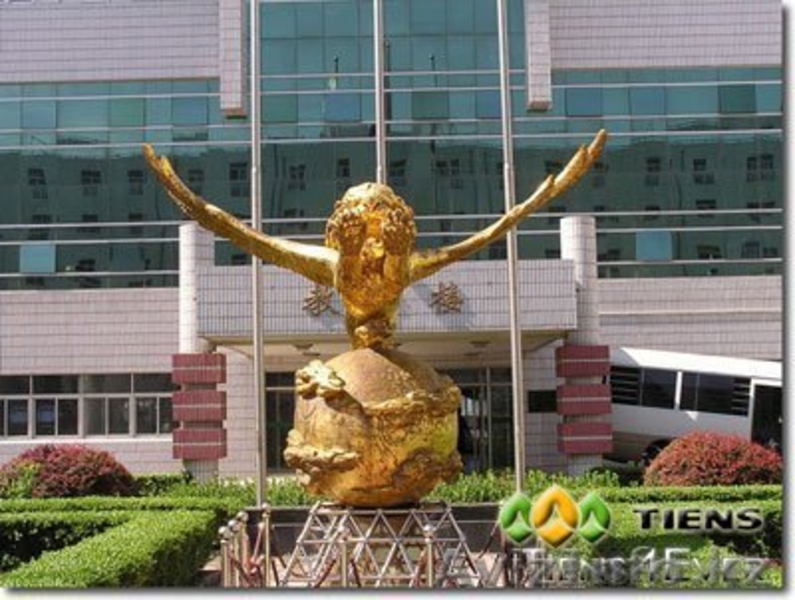 Приглашаю в бизнес Тяньши - Изображение #1, Объявление #850418