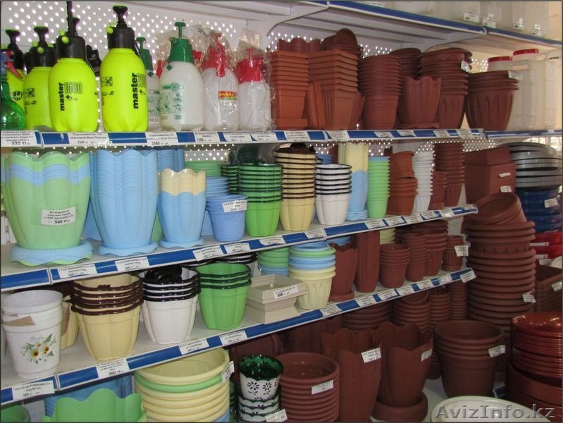 Семена, саженцы, удобрения, грунт, горшки - Изображение #3, Объявление #872541