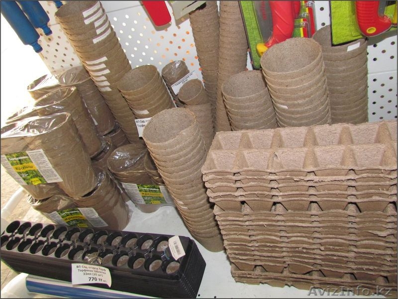 Семена, саженцы, удобрения, грунт, горшки - Изображение #4, Объявление #872541