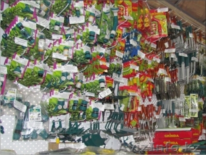 Семена, саженцы, удобрения, грунт, горшки - Изображение #5, Объявление #872541