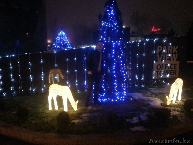 Оформление Световое, Реклама Световая  - Изображение #2, Объявление #855658