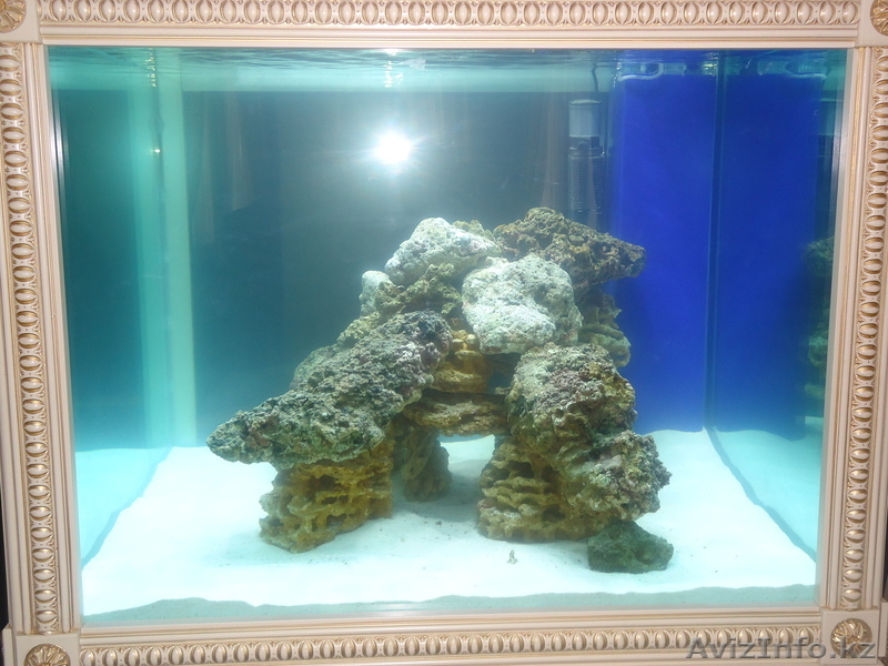 Аквариум.Изготовление,оформление.Море-пресноводный. - Изображение #3, Объявление #870677