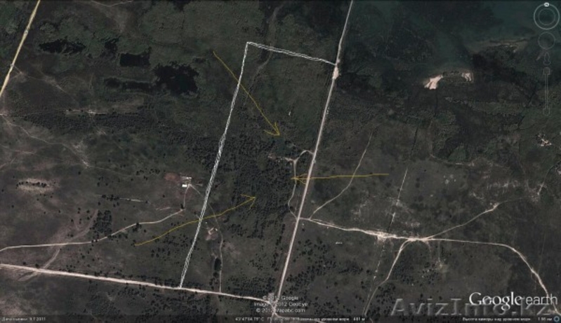 Крестьянское хозяйство (фазенда) на Капчагайском водохранилище. - Изображение #5, Объявление #866486