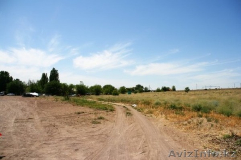 Крестьянское хозяйство (фазенда) на Капчагайском водохранилище. - Изображение #3, Объявление #866486