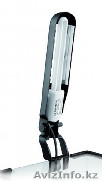 Аквариум- подарок на 8 марта - Изображение #3, Объявление #852244