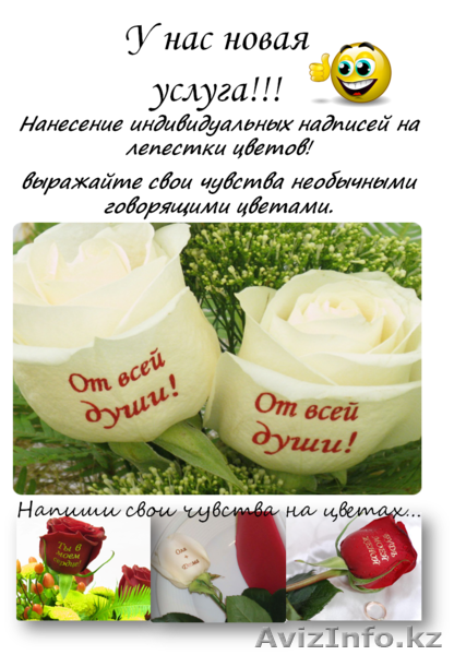 Продам флористические ручки (карандаши) или БИО-фломастеры - Изображение #3, Объявление #857452