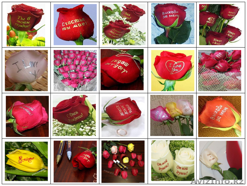 Продам флористические ручки (карандаши) или БИО-фломастеры - Изображение #2, Объявление #857452