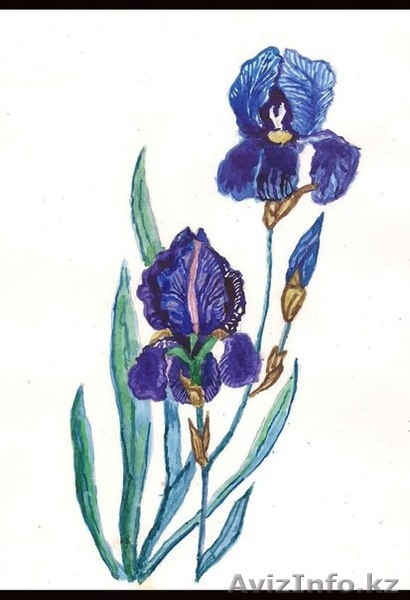 Преподаватель ИЗО, педагог-художник - Изображение #5, Объявление #864804