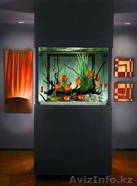 зоомагазин "нептун" - Изображение #4, Объявление #891329