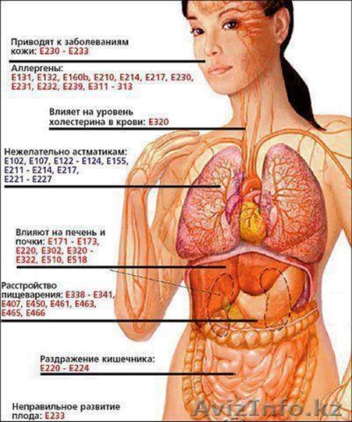 ОБУЧЕНИЕ - "ГулСтар" - Изображение #1, Объявление #878986