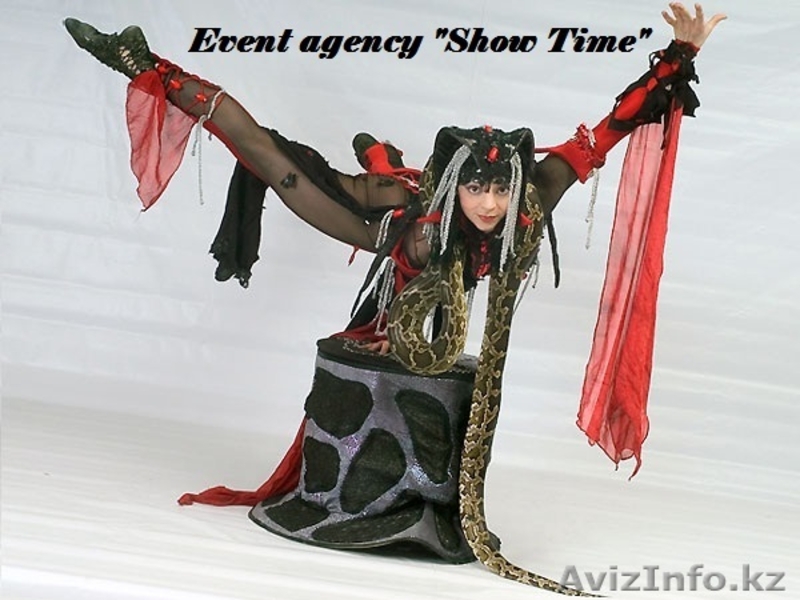 Номера с дрессированными животными - Изображение #3, Объявление #889417