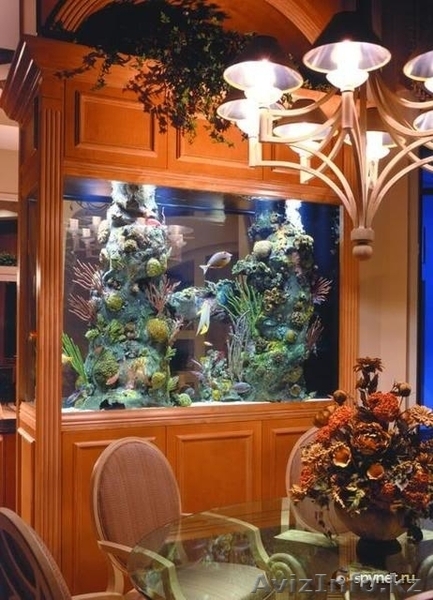 зоомагазин "нептун" - Изображение #8, Объявление #891329